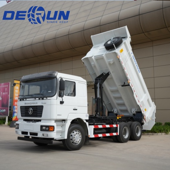 Cezayir Market için SHACMAN F2000 290HP 6X4 Dump Kamyon U Tip Kova