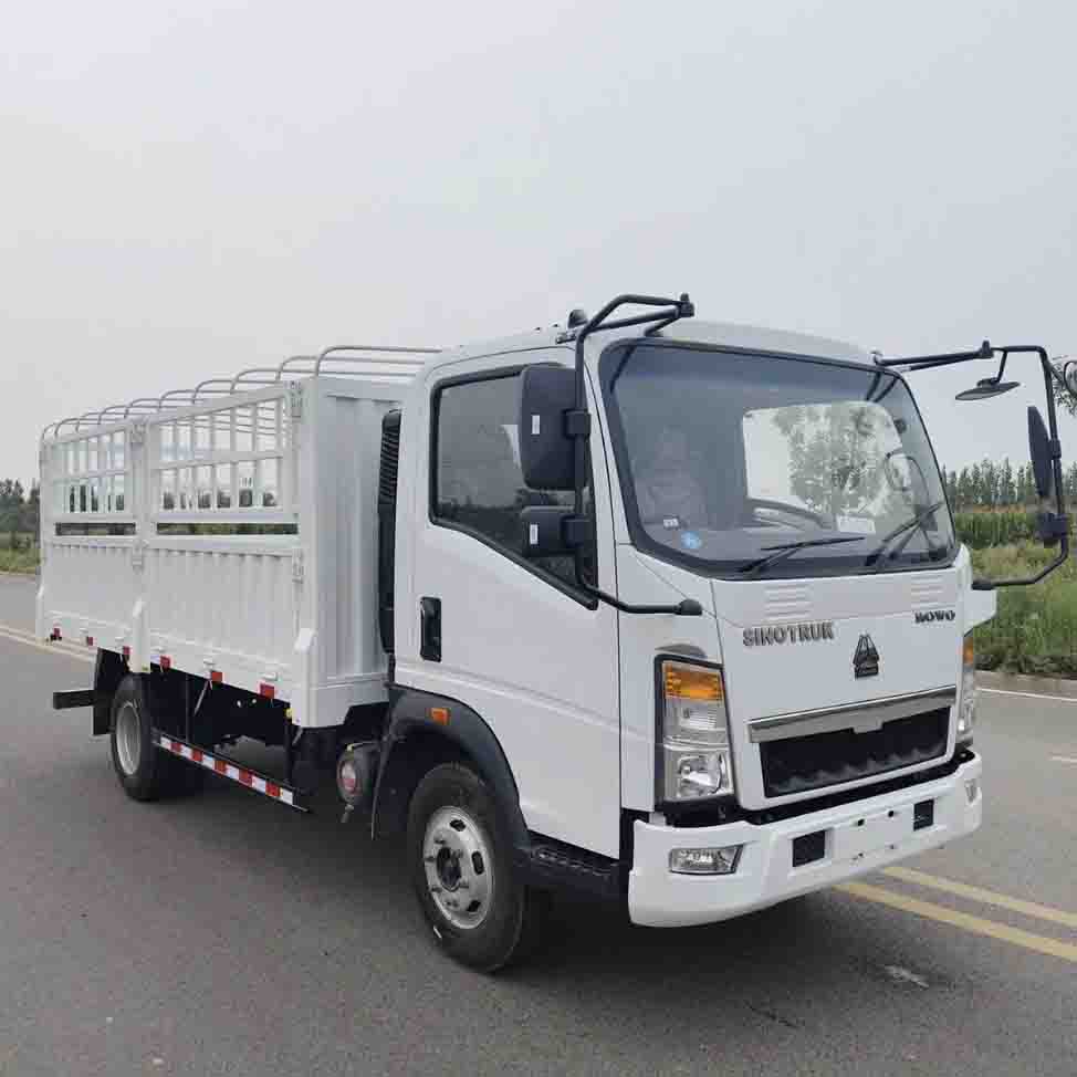 Sinotruk Howo 4x2 Işık Çit Kargo Kamyonu